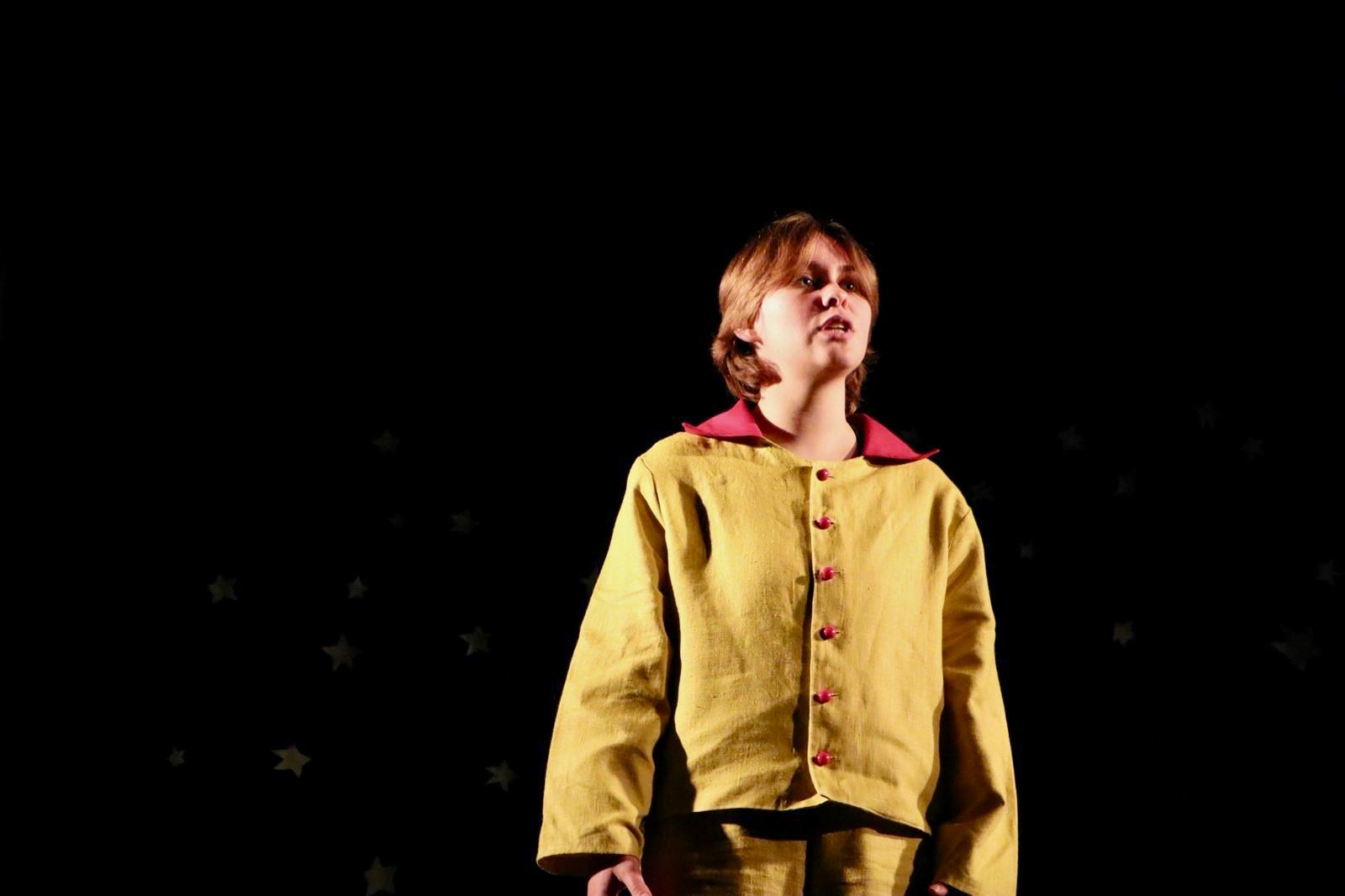 Scène Le Petit Prince - Le Petit Prince sous un ciel étoilé